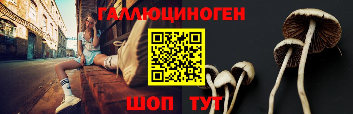 Мариинск  Псилоцибиновые грибы Psilocybine cubensis  Вход с VPN 